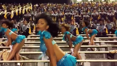Can You Stand the Rain - Southern University Band &amp; Dancing Dolls 2014 -  2015 on Make a GIF