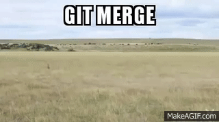 git merge on Make a GIF