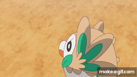 Ash's Rowlet Will Never Evolve In Pokemon Sun & Moon Anime – NintendoSoup