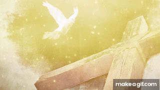 Holy Spirit animated video//Pigeon 🐦 flying animation//Living of God// on  Make a GIF