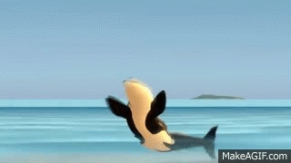 Orca Trouble on Make a GIF