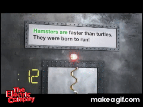 Hamster Jack Bowser The Electric Company On Make A 