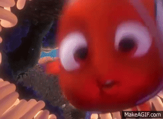 Finding Nemo First Day Of School On Make A Gif