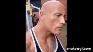 The Rock Raised Eyebrow GIFs
