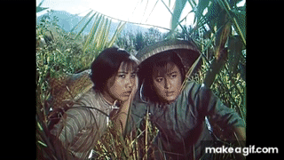 kTlKV-.gif