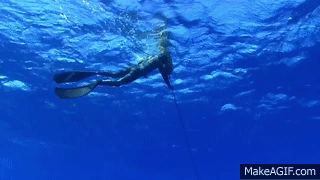 AMAIZING SPEARFISHING in Ascension Island with Yellow fin Tunas Hunting in  Blu waters ITZTV on Make a GIF