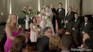 Inside Amy Schumer Wedding Objections On Make A Gif Inside Amy Schumer Wedding Objections