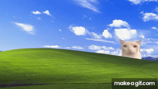 1 Hour Cat eating a chips in the Windows XP wallpaper FULLSCREEN on