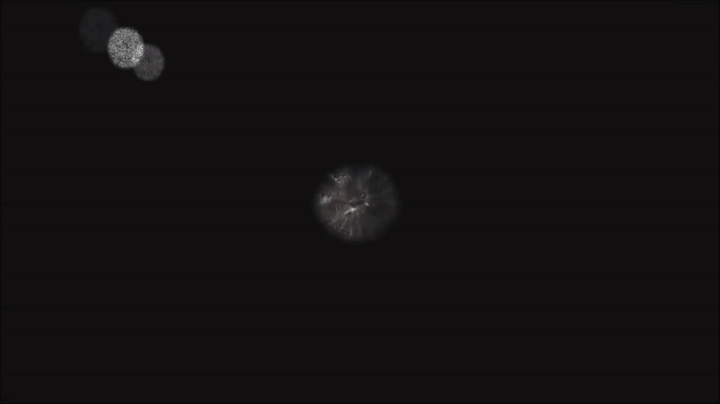 The Observable Universe (accurately scaled zoom out from Earth) on Make ...