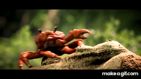 Featured image of post Dancing Crab Rave Gif