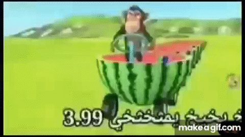 Mono manejando tren de sandía on Make a GIF