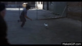 ROCKY II Chicken Chase on Make a GIF