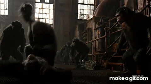 caesar dawn of the planet of the apes gif