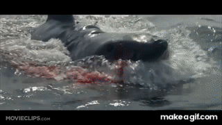 TMNq85.gif
