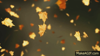 Falling Autumn Leaves Background Loop 2 Read Desc On Make A GIF Falling Autumn Leaves Background Loop 2 Read Desc On Make A GIF