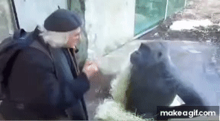 Мужик разговаривает с обезьяной (мем из тик тока) on Make a GIF