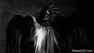 q81pVQ.gif