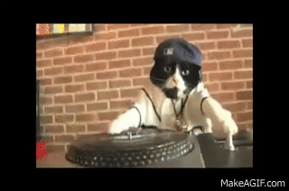 DJ Kitty Official Video on Make a GIF