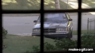 m2WEZ6.gif