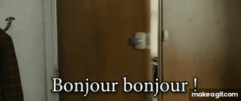 https://i.makeagif.com/media/9-09-2021/VNADLN.gif