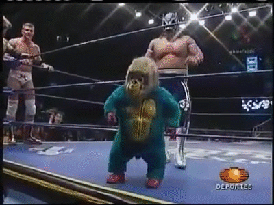 Image result for funny mexican wrestling gif