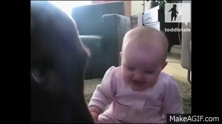 woman laughing hysterically gif