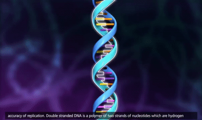DNA Replication [HD animation] on Make a GIF