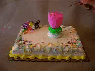 Lotus Flower Musical Birthday Candles on Make a GIF