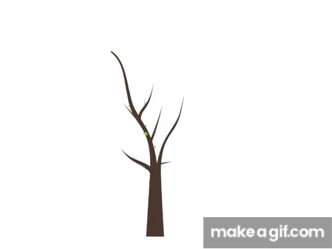Tree GIFs