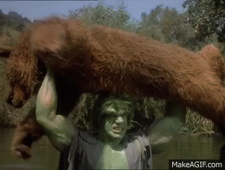 Image result for hulk throws bear gif