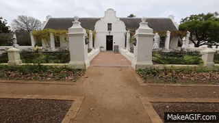 1,000 Indian Runner ducks on Make a GIF