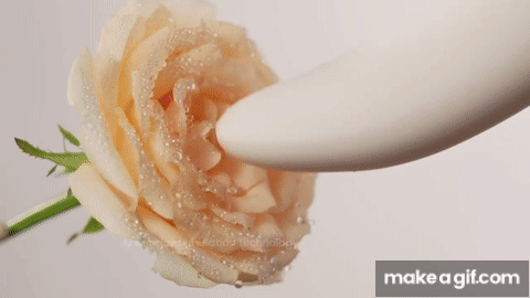The EVE Oral Pleasure Vibrator leads you to explore the blissful way of the  body. on Make a GIF