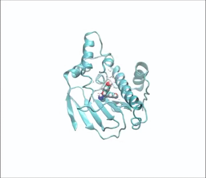 Kinetics of protein-ligand unbinding via smoothed potential molecular ...
