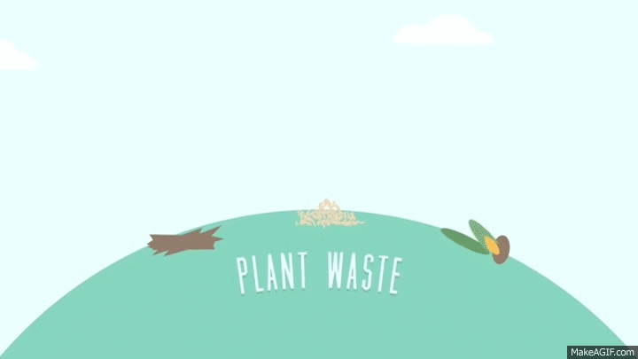 Renewable Energy 101 Biomass Electricity On Make A GIF