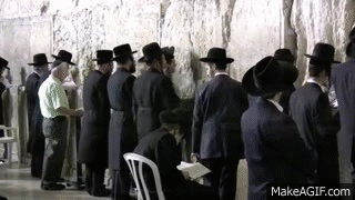 Image result for make gifs motion images of orthodox jews enraged at the wailing wall