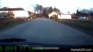 Funny Videos That Make You Laugh So Hard You Cry, Try Not To Laugh New