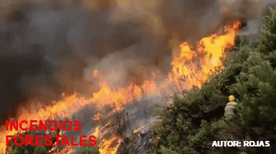 Impactantes imágenes de los incendios forestales de 2012 on Make a GIF