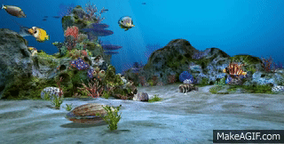 Aquarium Computer Wallpapers - Wallpaper Cave