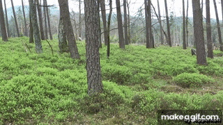 Vn1oNT.gif