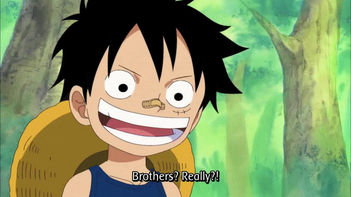One Piece Moments Luffy Ace Sabo Become Brothers On Make A Gif