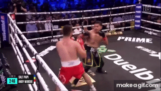 P06NT3.gif