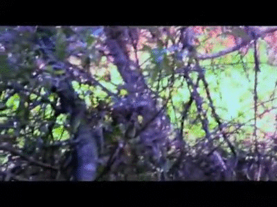 Joe Romersa Joe Romersa 5 on Make a GIF