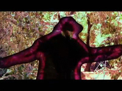 Joe Romersa Joe Romersa 7 on Make a GIF