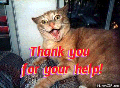 Crazy Cat Thank You On Make A Gif