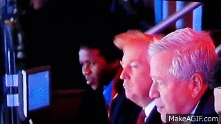 Donald Trump's HAIR tries to Escape on Make a GIF