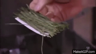 Kitchen Nightmares Us Season 2 Episode 9 Fiesta Sunrise On Make A Gif