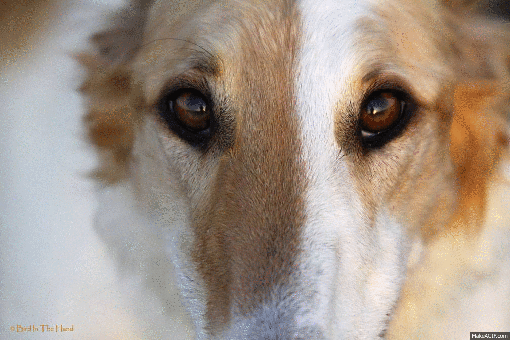 Lucy Winking Gif Lucy Winking Anime Discover Share Gi vrogue.co