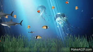 animated aquarium gif