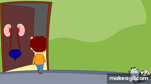 Kidney Functions in human body - video for kids on Make a GIF Kidney Functions in human body - video for kids on Make a GIF
