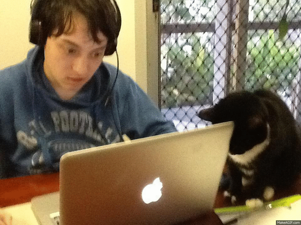 Cat And Mouse Game On Make A Gif